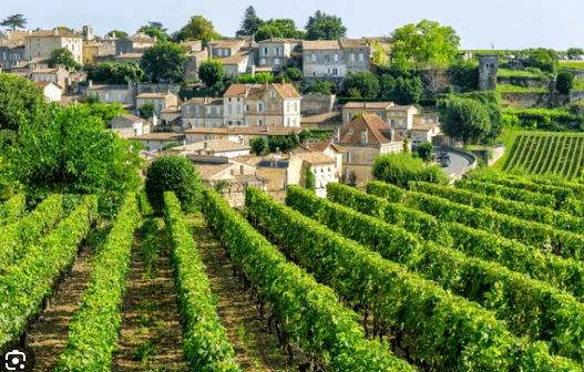 Read more about the article Bordeaux Wine River Cruise
